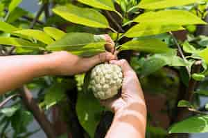 Kostenloses Foto gartenarbeit