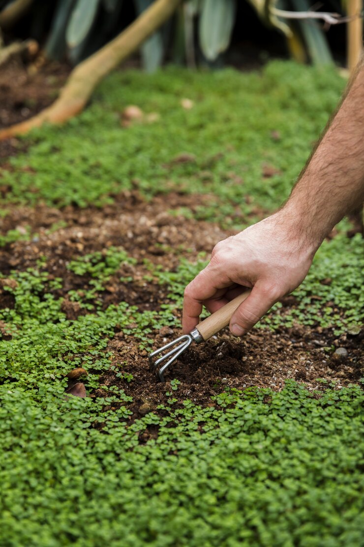 Kostenlose Foto gartenarbeitkonzept mit dem mannpflanzen