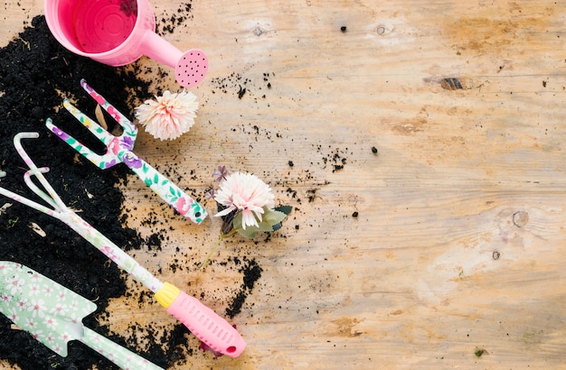 Gartengeräte mit rosa Gießkanne und Chrysanthemenblüte; leerer Boden gegen hölzernen Hintergrund