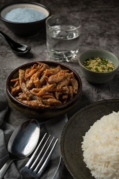 Gebackener Fisch mit Soße asiatisches Meeresfrüchte-Konzept.