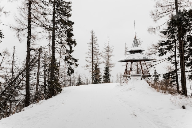 Gebäude in frostigen Wäldern