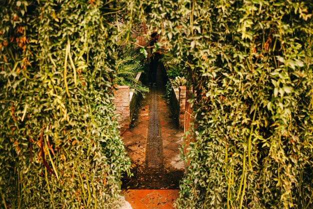 Gebäude mit viel Vegetation