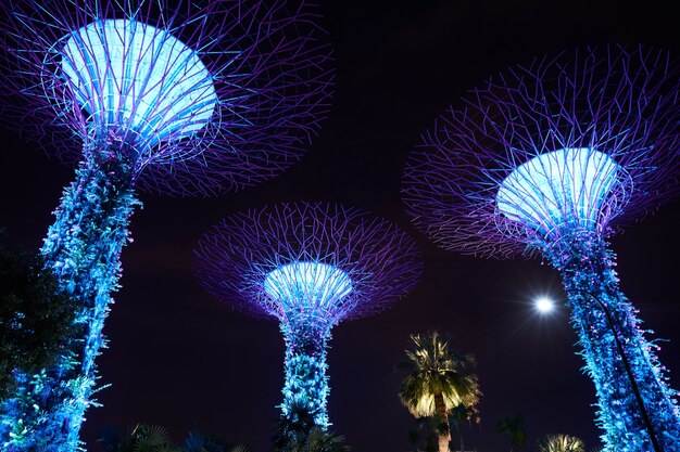 Gebäude Nacht städtischen Singapur Natur