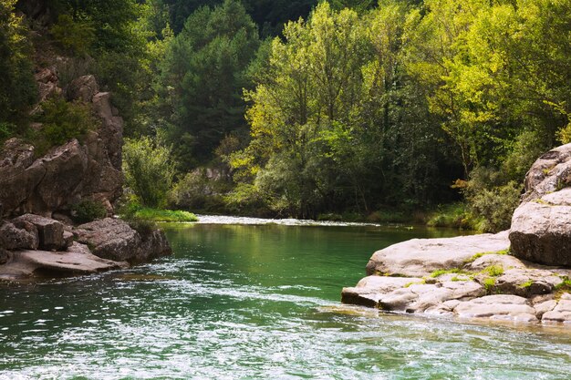 Gebirgsfluss mit felsigem Flussufer. Pyrenäen