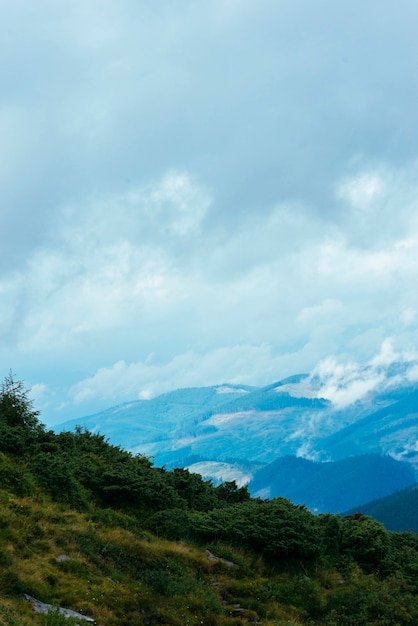 Gebirgswaldlandschaft mit bewölktem Himmel