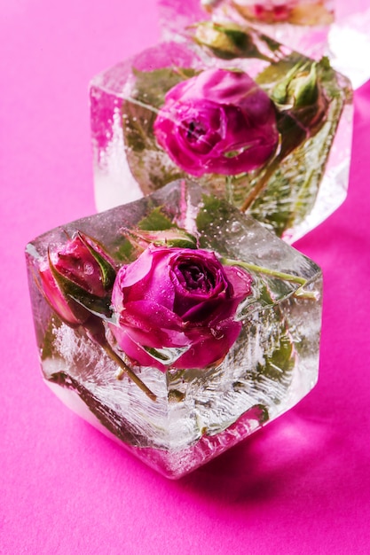 Kostenloses Foto gefrorene rose