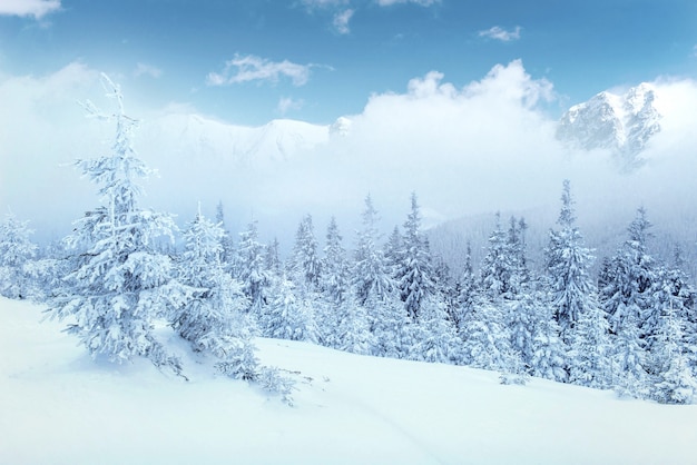 Geheimnisvolle Winterlandschaft majestätische Berge im Winter.