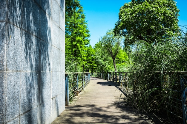 Gehweg im garten in bangkok, thailand