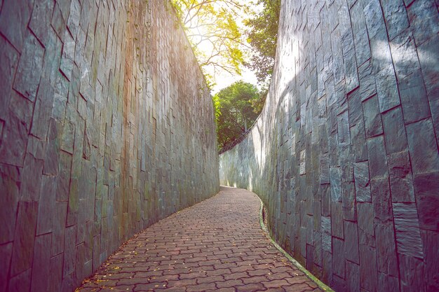 Gehweg im Park