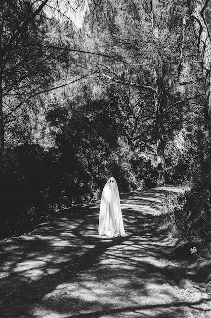 Kostenloses Foto geist, der auf gehweg im düsteren park steht