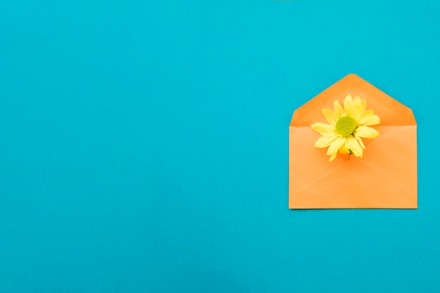 Gelbe Blume im Umschlag