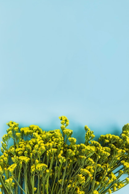 Kostenloses Foto gelbe blumen gegen blauen hintergrund