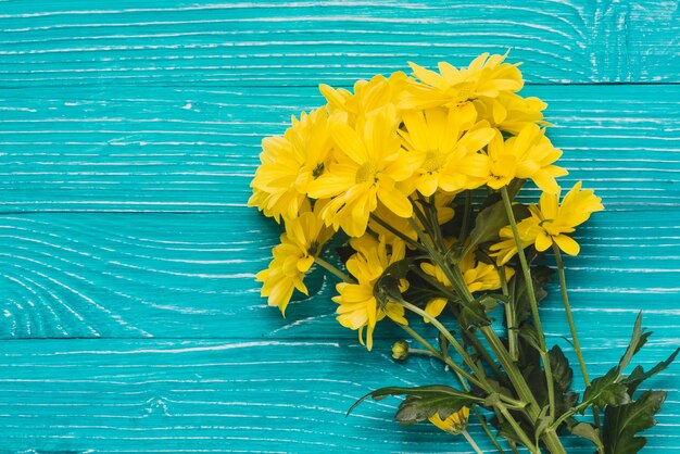 Gelbe Gänseblümchen auf blauem Holzuntergrund
