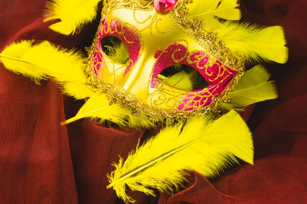 Gelbe Maske mit gelben Federn um