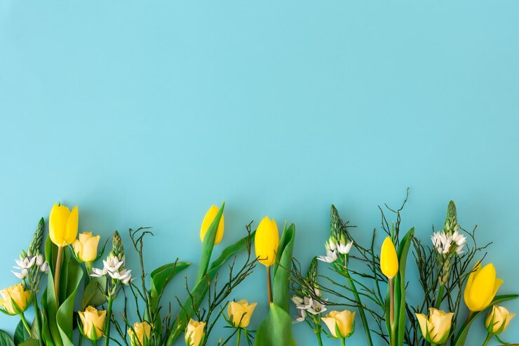 Kostenlose Foto gelbe tulpen auf blauem hintergrund liegen flach