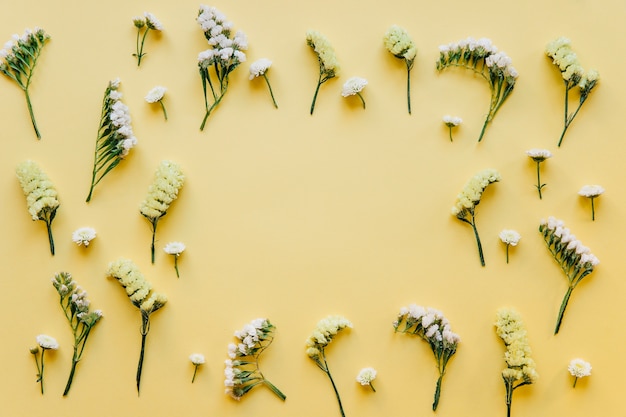 Gelbe und weiße kleine Blumen