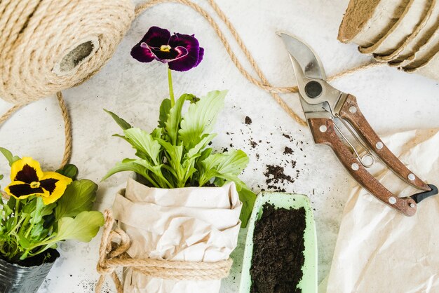 Gelber und violetter Stiefmütterchenblumentopf mit Seil; Papiertüte; Gartenschere auf konkretem Hintergrund