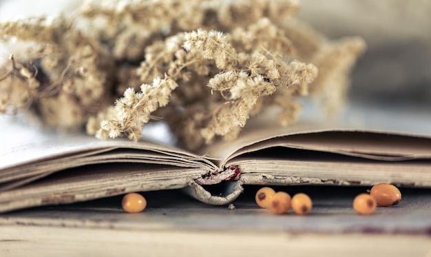 Kostenloses Foto gemütlicher hintergrund mit offenem buch auf unscharfem hintergrund