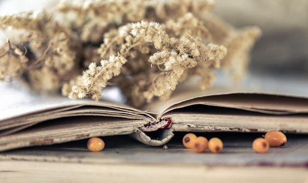 Gemütlicher Hintergrund mit offenem Buch auf unscharfem Hintergrund