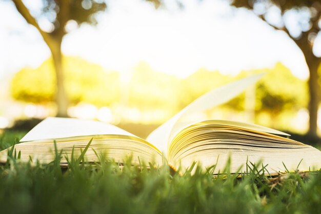 Geöffnetes Buch auf grünem Gras im Sonnenlicht