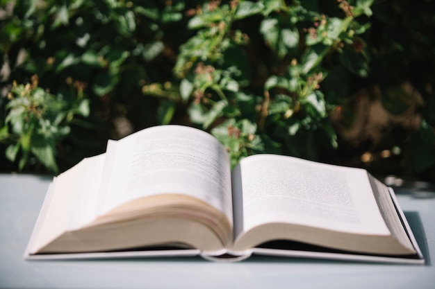 Geöffnetes Buch, das nahe Büschen liegt