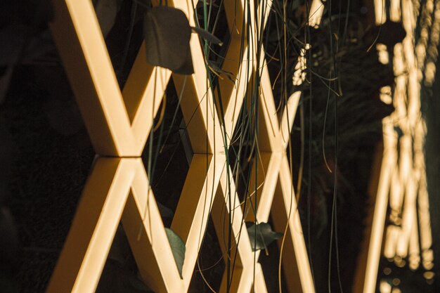 Geometrische Holzfanz und Pflanzen