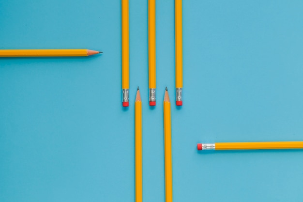 Geordnete gelbe Bleistifte auf blau