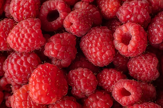 Gepflückte Bio-Himbeeren im Makro.