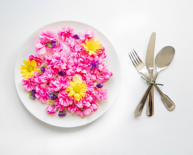 Geräte nahe netten Blumen auf Platte