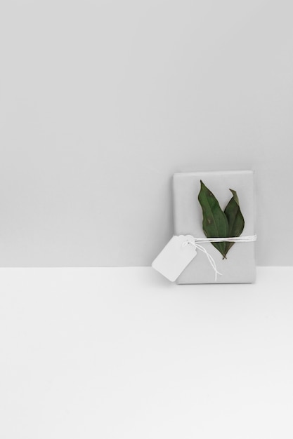 Geschenkbox gebunden mit Tag und Blättern auf weißem Hintergrund
