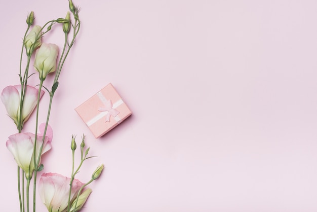 Geschenkbox mit Eustomablumen auf rosa Hintergrund