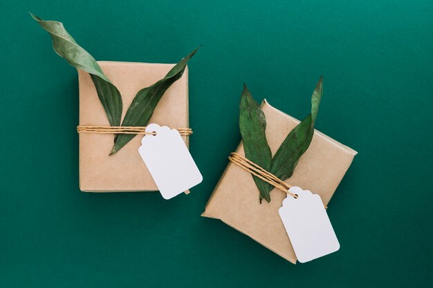 Geschenkboxen mit leerem Tag und Blättern auf grünem Hintergrund