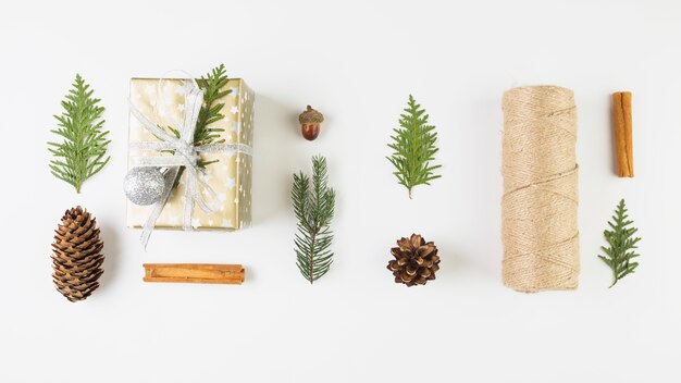 Geschenkschachtel in der Nähe von Nadelhölzern, Haken und Wicklungen