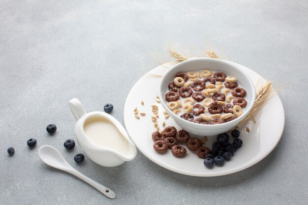 Geschmackvolle Müslischüssel der Nahaufnahme mit Milch