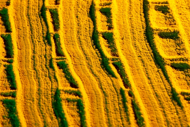 Kostenloses Foto geschwungene linien aus gelbem sand