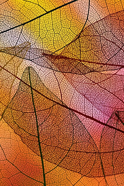 Gestapelte transparente Blätter mit orangefarbener Hintergrundbeleuchtung