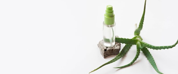 Gesundes Spa-Konzept und Aloe Vera Spray Kopierraum