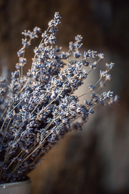 Kostenloses Foto getrocknete lavendelblüten in einer vase verschwommenen hintergrund