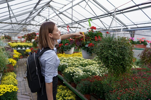 Gewächshausbesitzer beobachtet die Blumenernte mit Sorgfalt