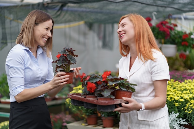 Gewächshausbesitzer präsentiert einem potenziellen Kundenhändler Blumenoptionen.