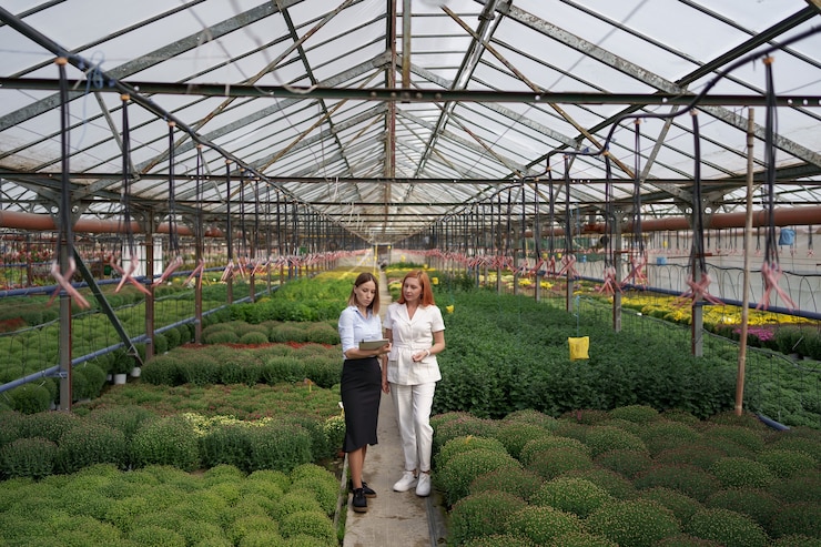 Kostenlose Foto gewächshausbesitzer präsentiert einem potenziellen kundenhändler blumenoptionen.