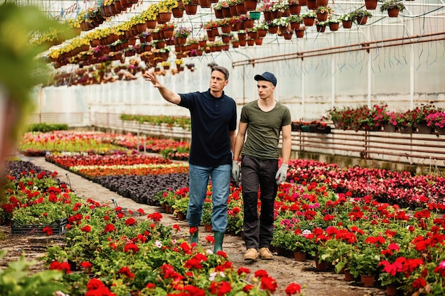 Gewächshausbesitzer und sein Angestellter kommunizieren beim Gehen und Untersuchen von Blumen