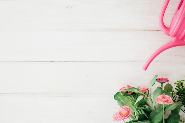 Gießkanne und Blumen mit Platz auf der linken Seite