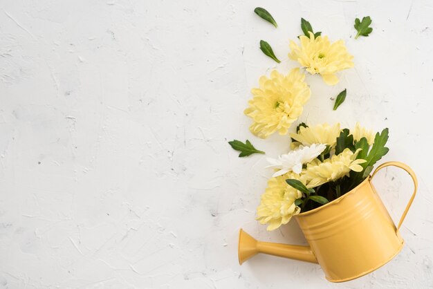 Gießkanne und gelbe Frühlingsblumen