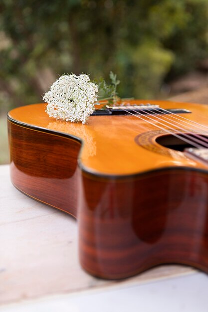 Gitarre im Freien mit Blume an der Spitze