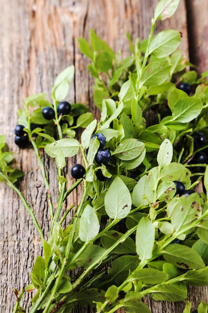 Glas Blaubeeren