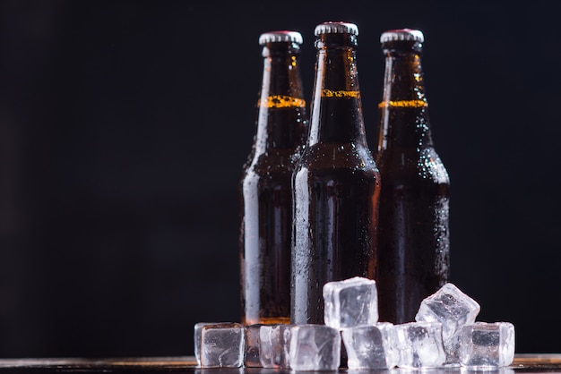Glasflaschen Bier mit Glas und Eis auf dunklem Hintergrund