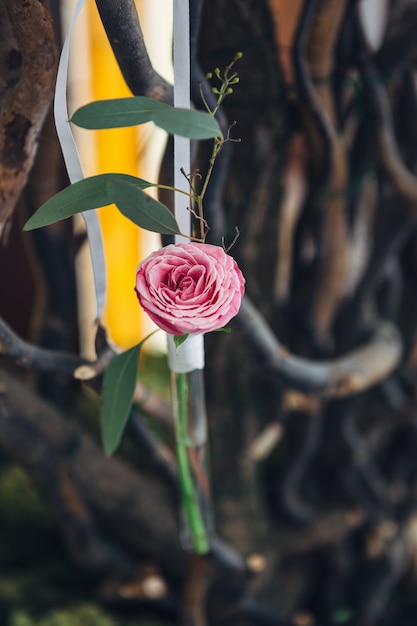 Glasröhren mit rosa Blüten hängen an der Wand