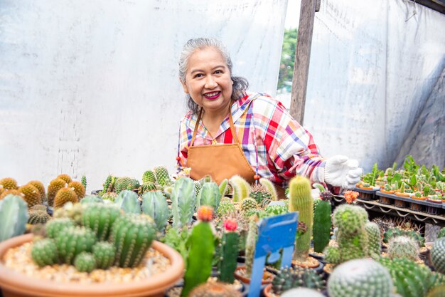 Glückliche ältere Frau mit schönem Kaktus