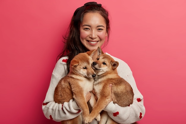 Glückliche asiatische Frau hält zwei entzückende Shiba Inu Welpen, lächelt angenehm, trägt weißen Pullover, kümmert sich um Haustiere